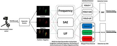 Multi-Cue Event Information Fusion for Pedestrian Detection With Neuromorphic Vision Sensors